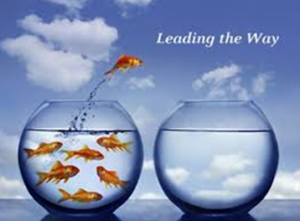 leading-the-way